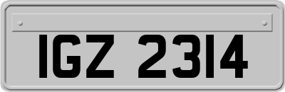 IGZ2314