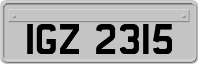 IGZ2315