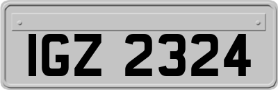 IGZ2324