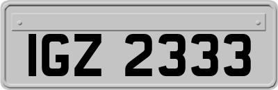 IGZ2333