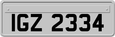 IGZ2334
