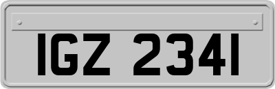IGZ2341