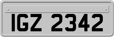 IGZ2342