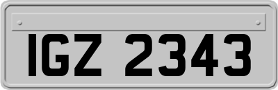 IGZ2343