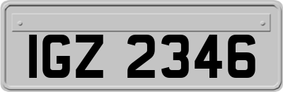 IGZ2346