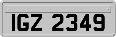 IGZ2349