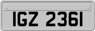 IGZ2361