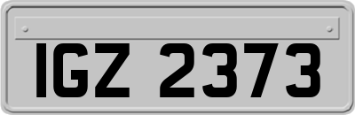 IGZ2373