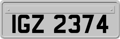 IGZ2374