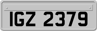 IGZ2379