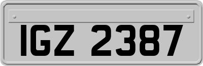 IGZ2387