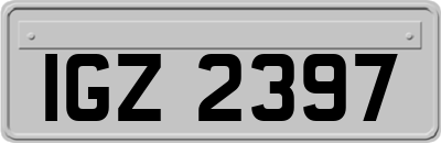 IGZ2397