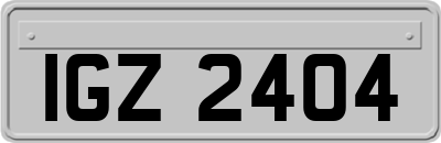 IGZ2404