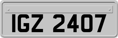 IGZ2407