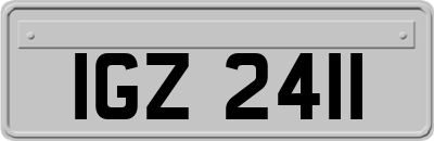IGZ2411