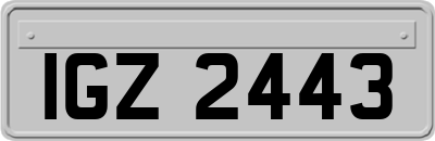 IGZ2443