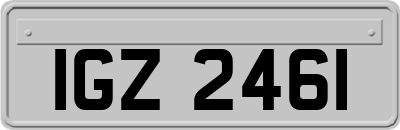 IGZ2461