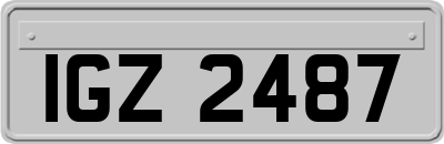 IGZ2487
