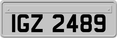 IGZ2489