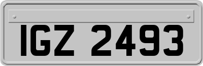 IGZ2493