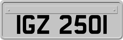 IGZ2501