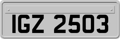 IGZ2503