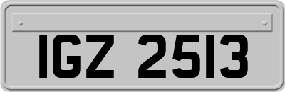 IGZ2513