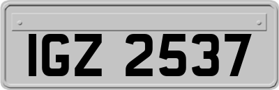 IGZ2537