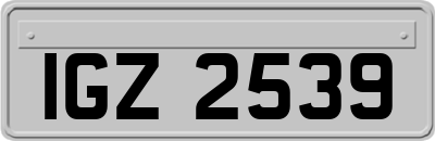 IGZ2539