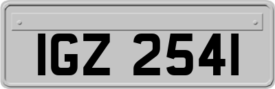 IGZ2541
