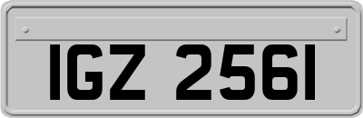 IGZ2561