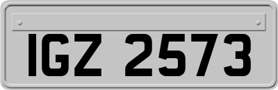 IGZ2573