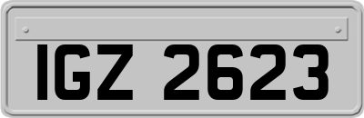 IGZ2623