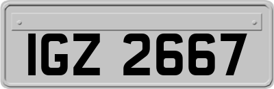 IGZ2667