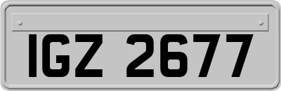IGZ2677