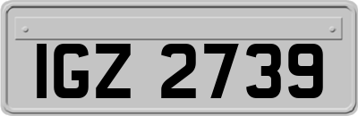 IGZ2739