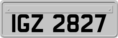 IGZ2827