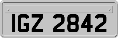 IGZ2842