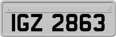 IGZ2863