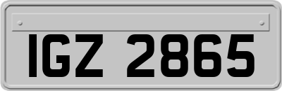 IGZ2865