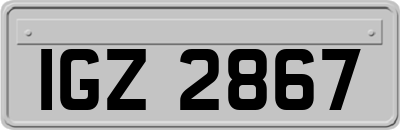 IGZ2867