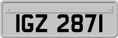 IGZ2871