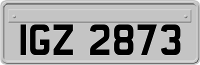 IGZ2873