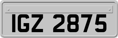 IGZ2875
