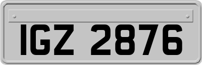 IGZ2876