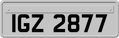IGZ2877