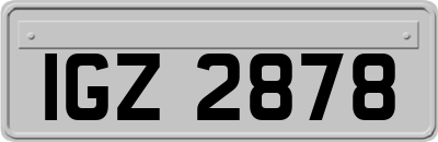 IGZ2878