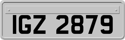 IGZ2879