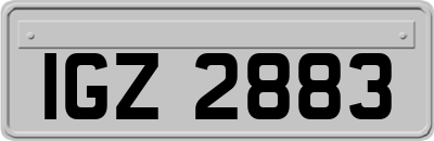 IGZ2883