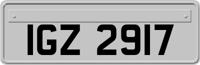 IGZ2917
